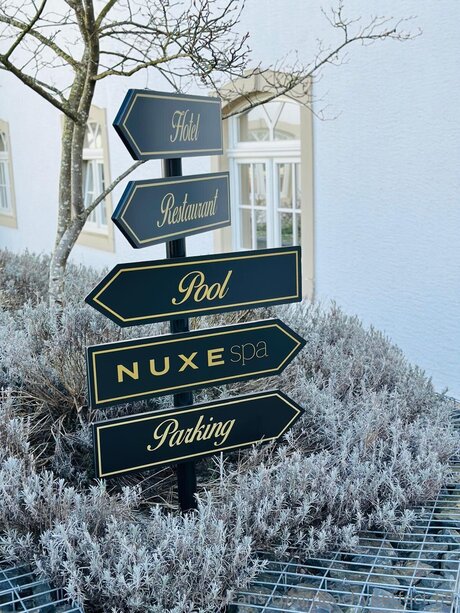 Peachyperfect 69 étoile nue photo