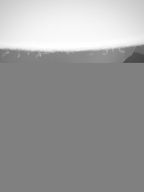 Solsunflowersfree meilleure étoile galeries