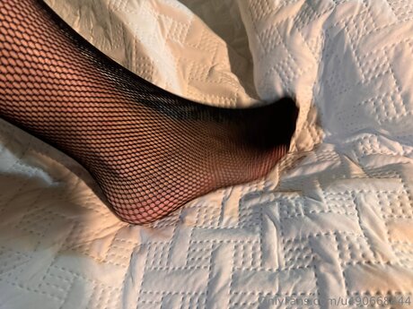 U490668444 modèle collection