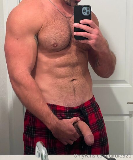 Birdie321 top star img