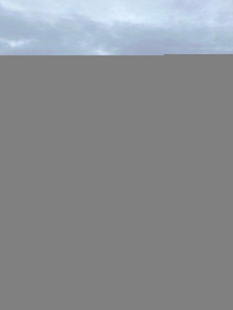 Victorialotusfree star du porno gratuit collection