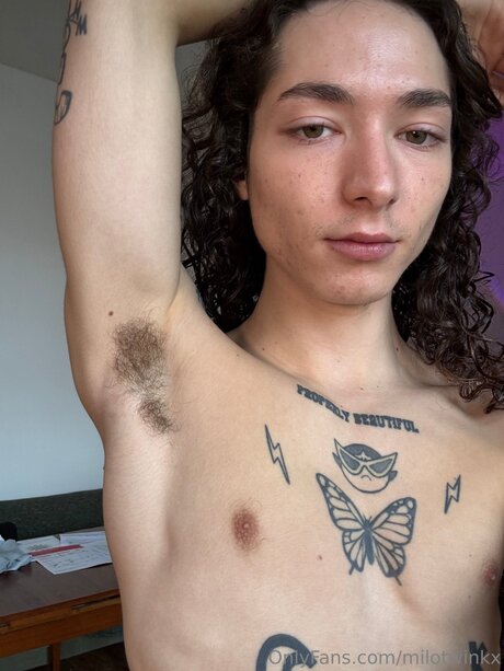 Milotwinkx haut modèle image