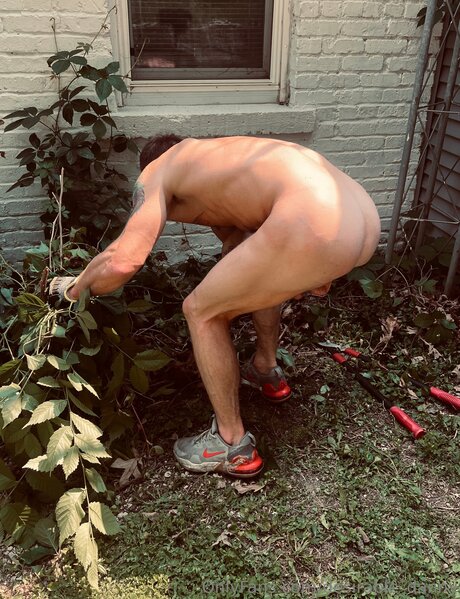 Desirable Danny art de star du porno image