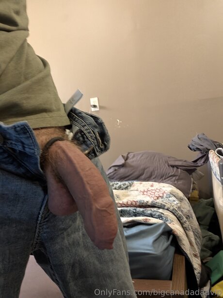 Bigcanadadadvip étoile magnifique images