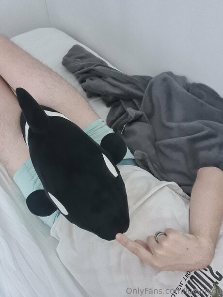 fans danal épais uniquement gratuit de haute qualité photo