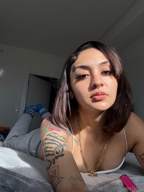 Poshnio étoile magnifique archive