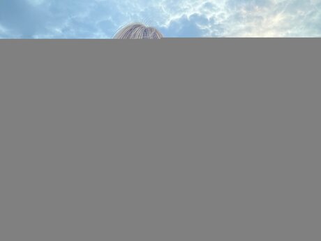 Ashley Milk star exclusive photos