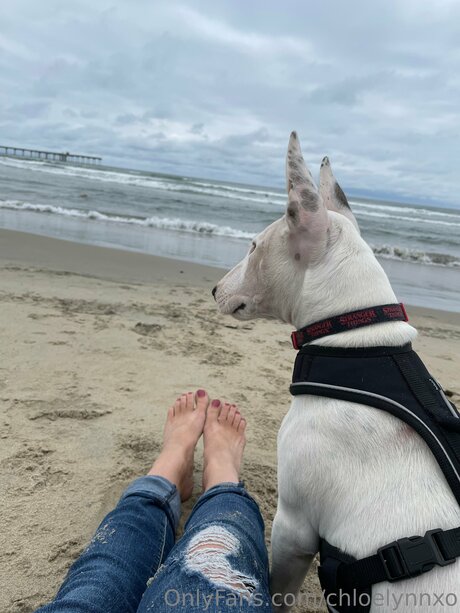 Chloelynnxo étoile de l'art galerie