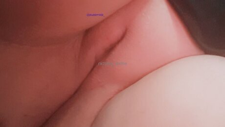 Puppyrolls art de star du porno img