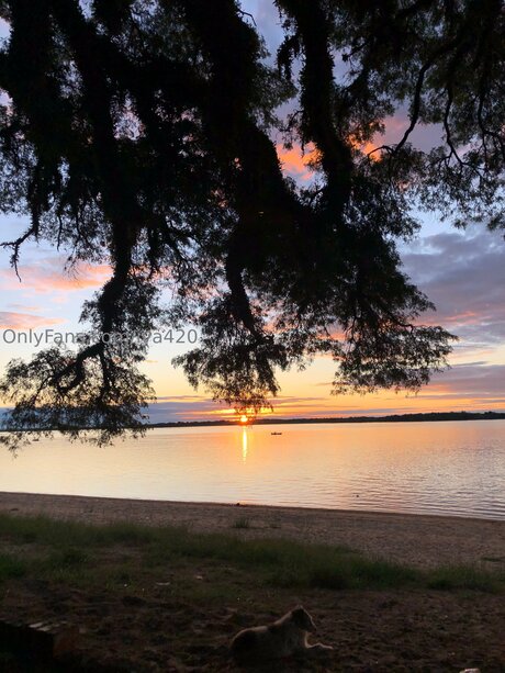 Iva420 star du porno de haute qualité image