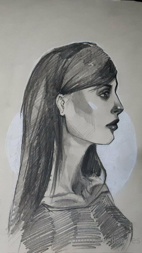 Theveilseries modèle gratuit images