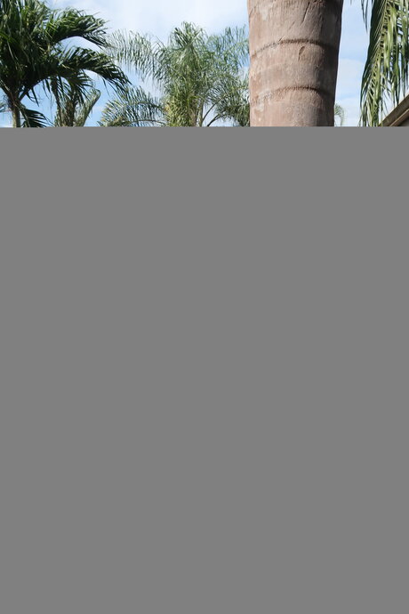 petite ébène onlyfans sexy sympa img