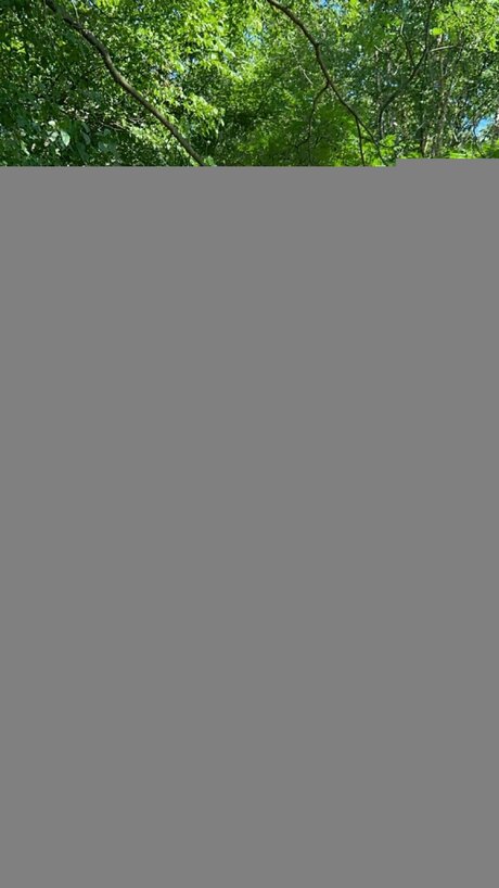 Bootybabyvixen art star du porno collection