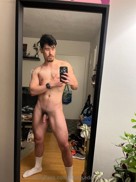 Vibesxxx star érotique collection