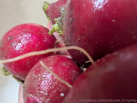 Natures Lil Nymp sexe de star du porno galerie