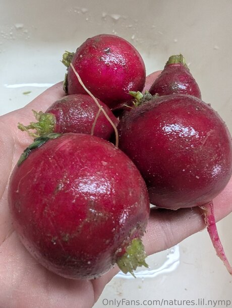 Natures Lil Nymp xxx étoile img