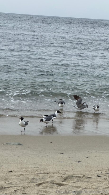 épouse infidèle onlyfans beau xxx images