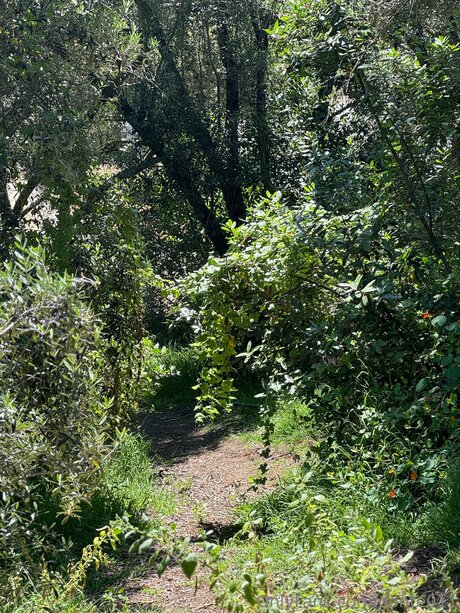 Donte011 modèle sexy photos