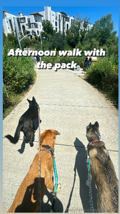 Donte011 star du porno érotique image