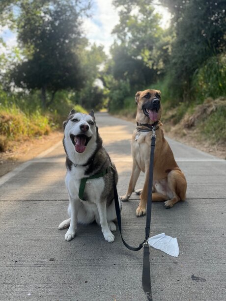 Donte011 étoile xxx galerie