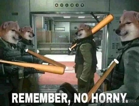 Xoitstrix joli modèle img