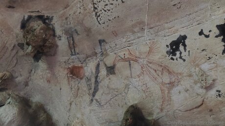 Rexistonee star du porno hd des photos