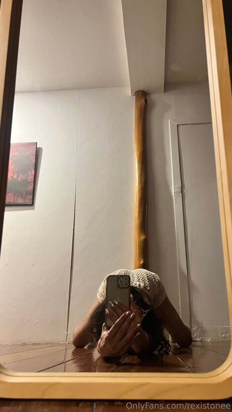 Rexistonee étoile parfaite archive