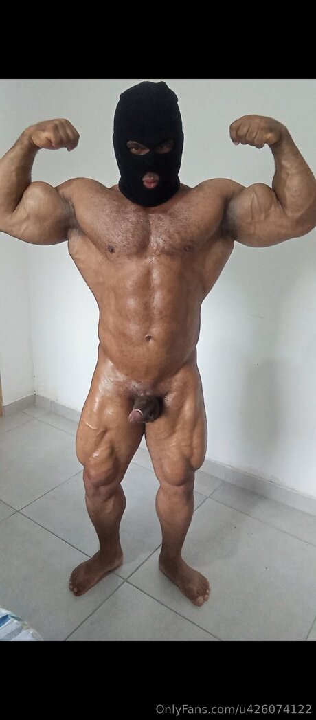 U426074122 étoile de l'art archive