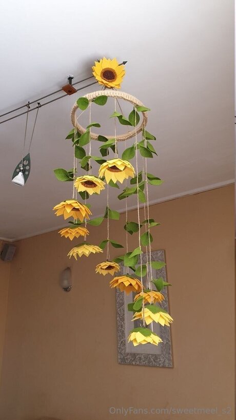 Sweetmeel S2 belle star du porno photos