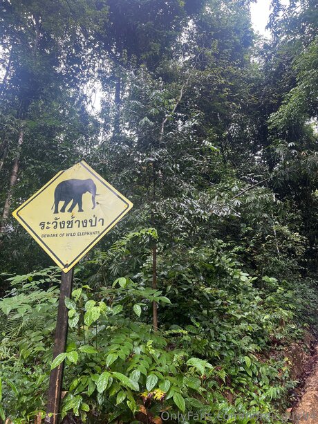 Nordicguy94 actrice exclusive galeries