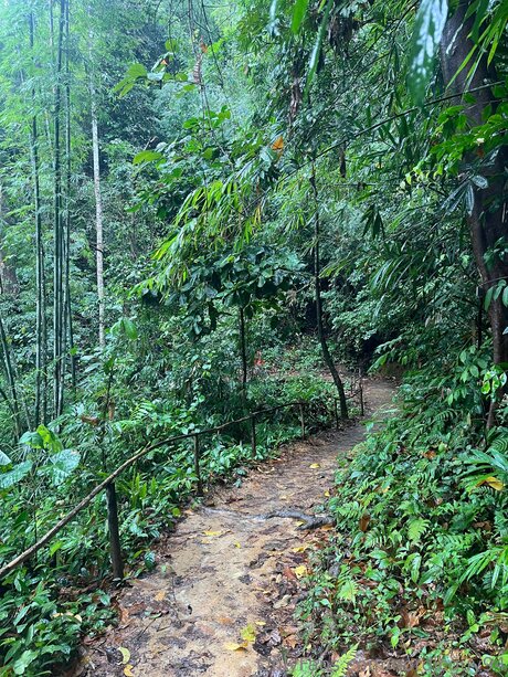 Nordicguy94 haut étoile img