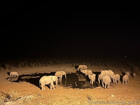 Nordicguy94 nus étoiles galeries