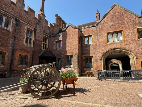 Travelsunshine jolie étoile des photos