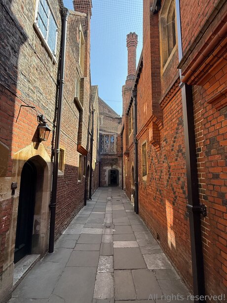 gros seins ébène onlyfans sexe gratuit images