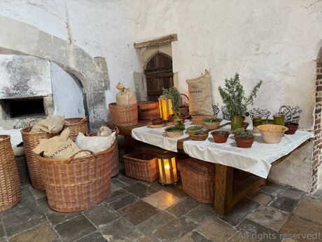 Travelsunshine belle star du porno collection