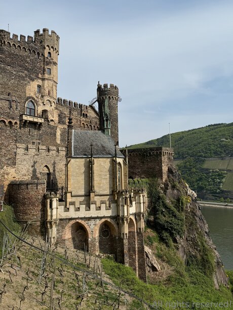 fans de sperme uniquement porno img