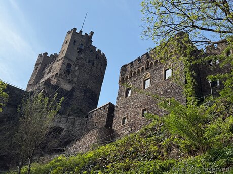 milf aux cheveux noirs onlyfans sexe parfait collection