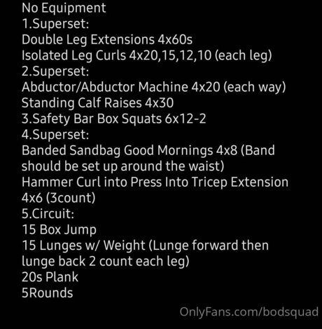 Bodsquad xxx star du porno image