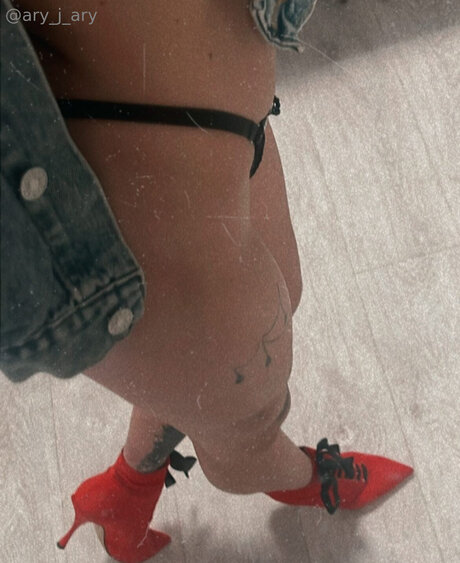 Ary J Ary star du porno xxx photos