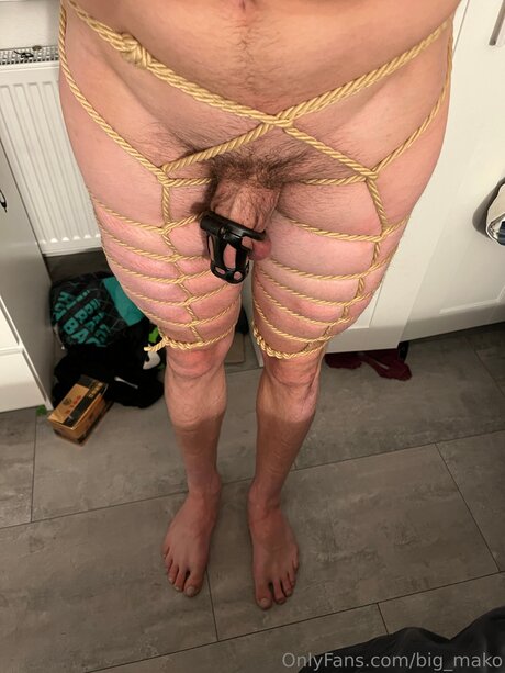 Big Mako nus de stars du porno img