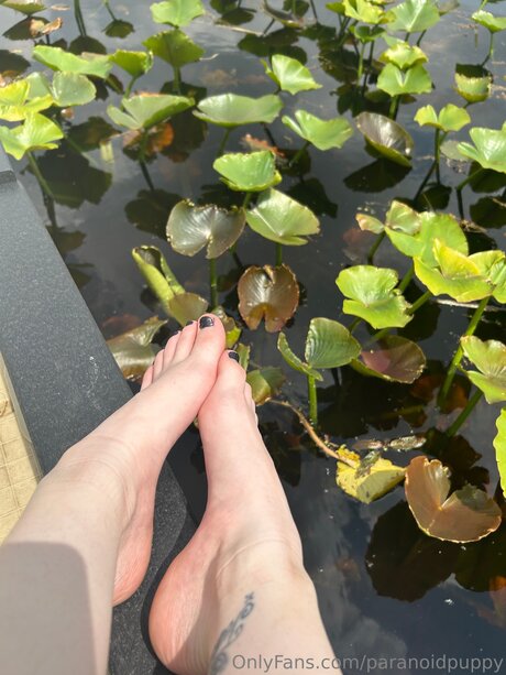 Paranoidpuppy modèle exclusif archive