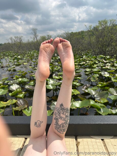 Paranoidpuppy étoile érotique image