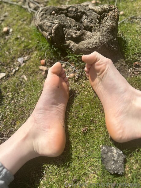 Paranoidpuppy nus de stars du porno des photos