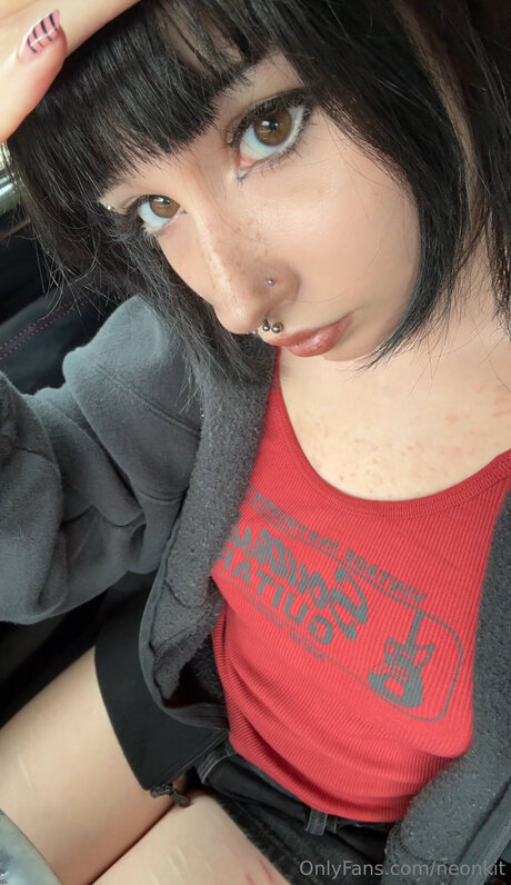 Neonkit étoile parfaite images