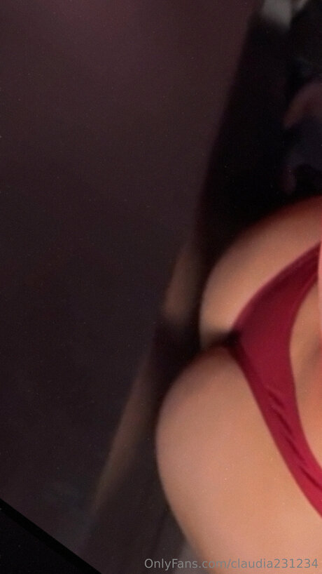 Claudia231234 étoile de l'art img