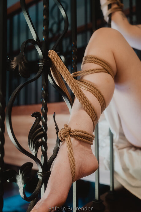 Safeinsurrender étoile hd collection