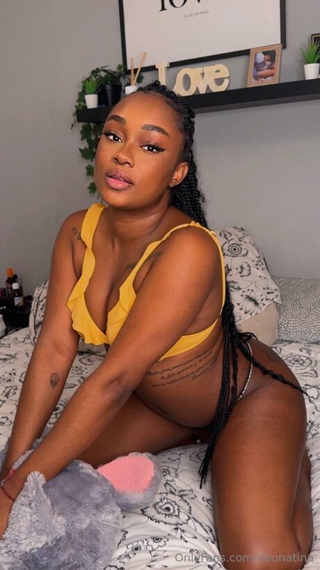 Ebonatina haut modèle galerie