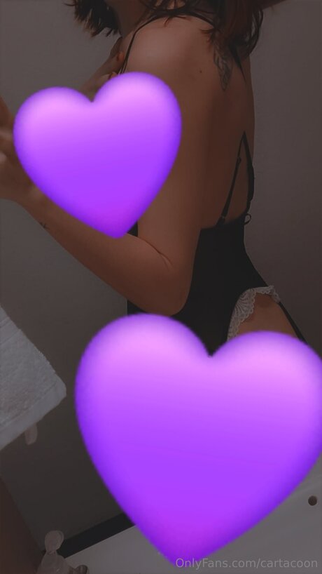 Cartacoon belle star du porno archive