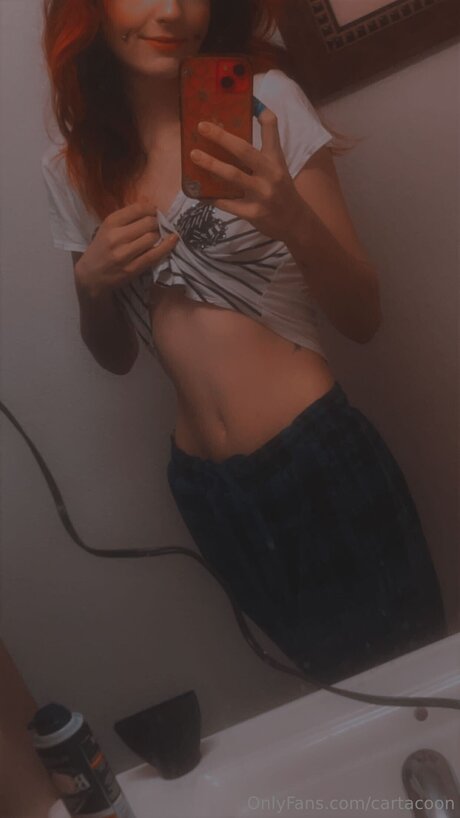 Cartacoon joli modèle galerie