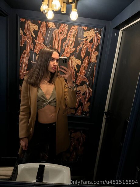 chaton potelé uniquementfans top magnifique image